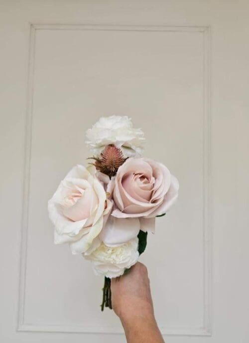 charlotte posy